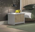 شارلي كمدينو