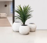 مركن أشجار صغير