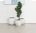 مركن أشجار فخاري صغير