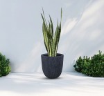 مركن أشجار صغير رمادي قاتم