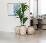 مركن أشجار بيج فخار