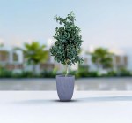 مركن أشجار مخطط رمادي