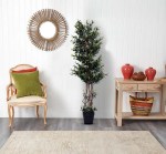 شجرة الزيتون