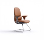 كرسي زوار بني