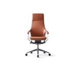 كرسي مدير بني